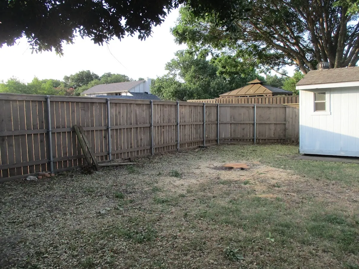 Cleared yard after professional tree removal in Surry
